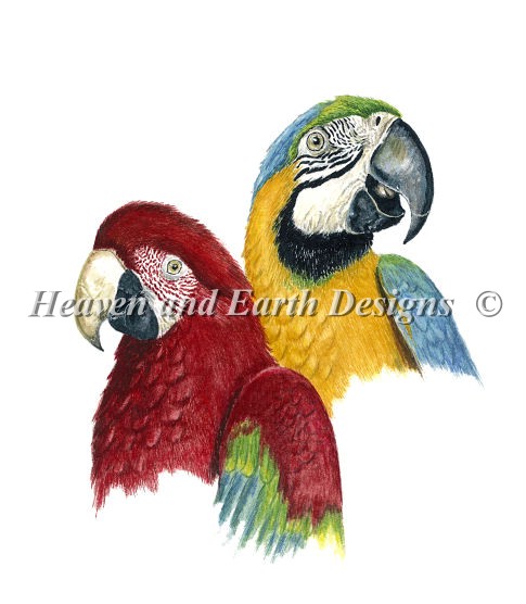 Macaws DB - Click Image to Close